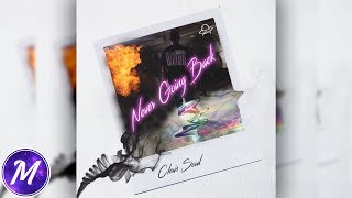Chris Soul - Never Going Back