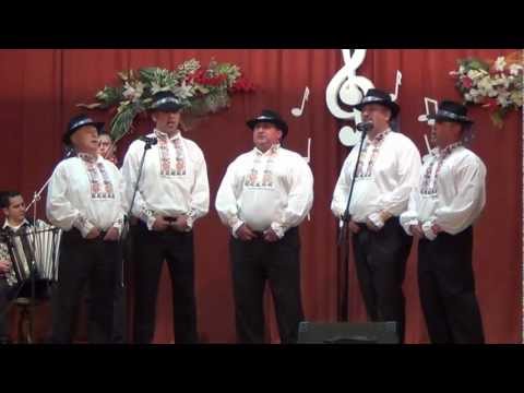 Sedlisčansky chlopy