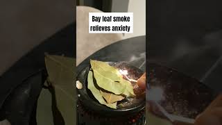 Calming holistic relaxing anxiety relief method using laurel bay leaf incense #anxietytips