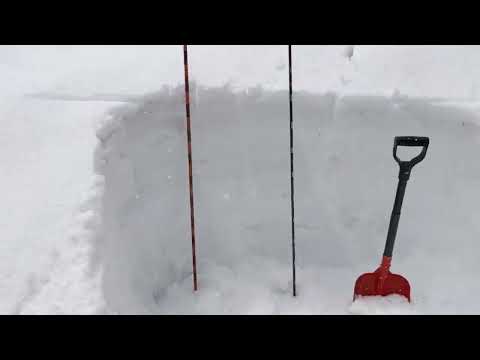 Arva Race 240 Probe: Two Minute Review