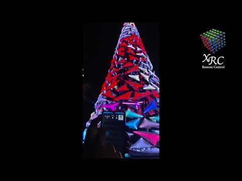 ARBOL HOSPITAL SATELITE Y CAMPECHE