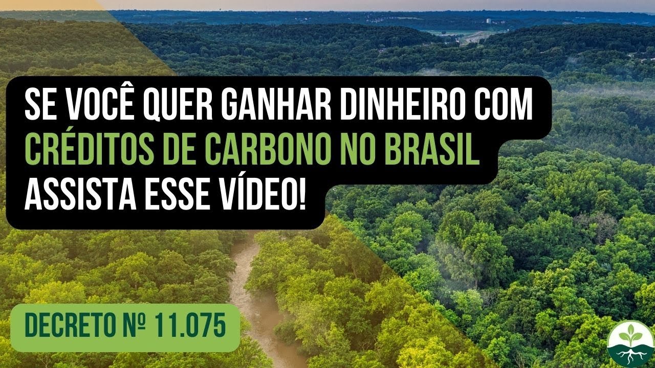 Se você quer ganhar dinheiro com créditos de carbono no Brasil, assista esse vídeo