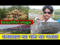 Rajasthan Ka Gaon Ka Najara Beautiful Villages Mustafa Indian Vlogs
