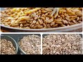 ГЕРКУЛЕС и ОВСЯНКА - в чем разница? ГЕРКУЛЕС и ОВСЯНКА - в чем разница?