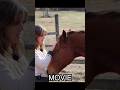 How NOT To Tame A Horse