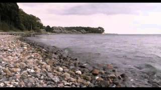 Rick Wakeman Vienna by Mooonlight