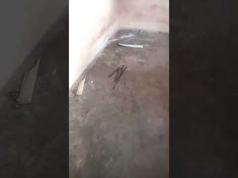 Spacious Mini Flat in Agodo Egbe.