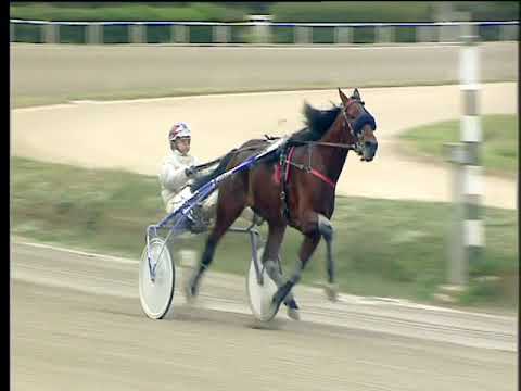 Trotto 12/01/2018 - 1ª corsa