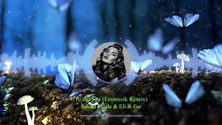 Booka Shade &amp; Eli &amp; Fur - To the Sea (Einmusik Remix) HD Video