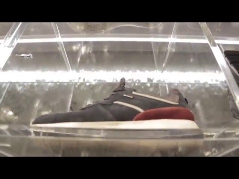 Geox - 89° edizione Pitti Immagine uomo