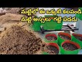 soil mixture for potted plants potting mix soil mix for vegetable garden gardening ideas