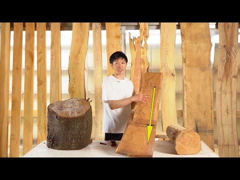 落葉樹と針葉樹のうち、嵐のときに壊れやすいのはどれですか?考慮すべき要素!  庭園