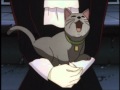 P Cat 0002 Wmv