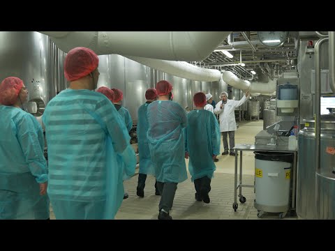 Matinée découverte chez ELSA