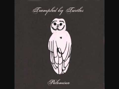 Trampled by Turtles - New Orleans