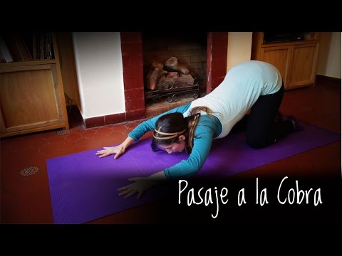 Clase de Yoga, Pasaje a la cobra - Punto de Yoga. (Nivel principiantes)