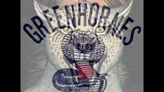 The Greenhornes -  Left The World Behind