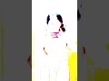 Wait End Tk Lzmi Dekhna Tiktok Star Ashnoor Kaur Virul Shorts Video Short Youtubeshorts Parrot