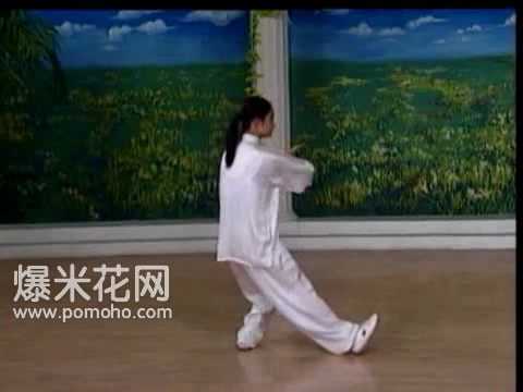 8-form Tai Chi Demo (Back)