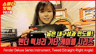 Video thumbnail for [Show me the ITEM 981회] Fender 기타케이블 Deluxe Series Instrument, Tweed by BUZZBEE TV
