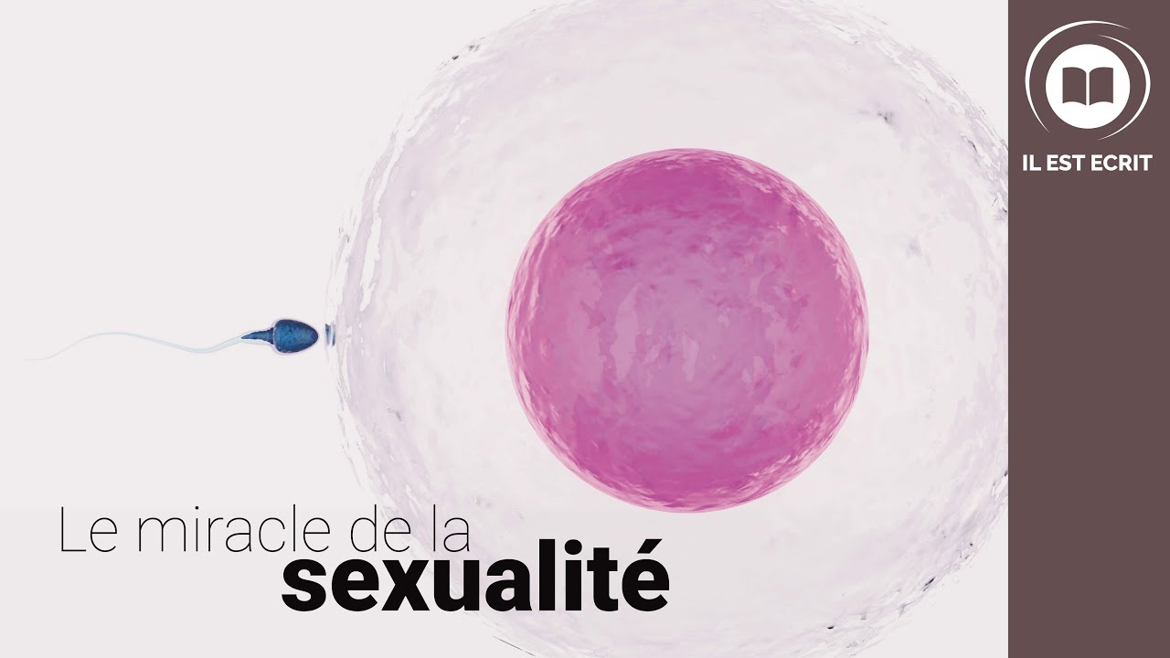 Le miracle de la sexualité