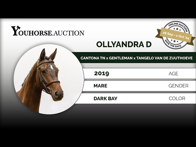 Ollyandra D