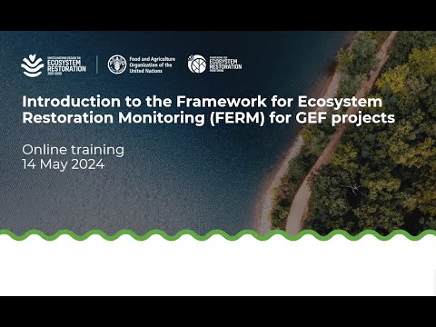 FERM for GEF Projects Webinar (English)
