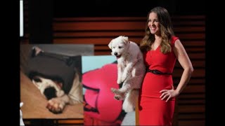 Pawnix on 'Shark Tank': What is the cost, who is the founder 