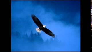 Melvin Taylor - Cadillac Assembly Line