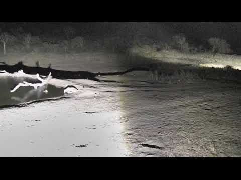 Djuma: Hosana male Leopard quietly walks in - 22:24 - 10/15/18