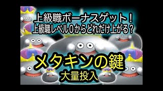 星ドラ実況18『メタキンの鍵 X３で、転生２回目どれだけレベル上がる？』わいわい堂画