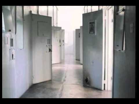 The Life and Legacy of Nelson Mandela 1918-Present