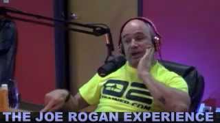 Joe Rogan Experience #335 - Bas Rutten