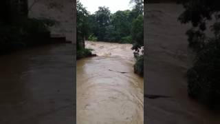 Río Camú, en La Vega | Noviembre 23, 2016