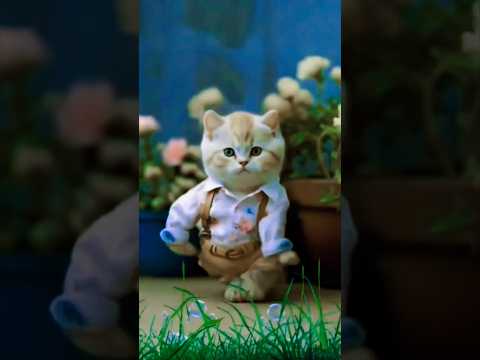 Lagi lagi lat leri💕💕💕💕💕💕 #song #newsong #catshorts #shortsviral #trending