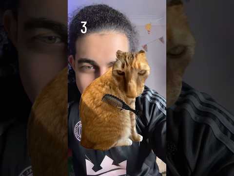 سرح شعر القطه الشريره 😂🤦🏻‍♂️