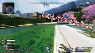 久しぶりのげーむ