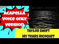 Taylor Swift - My Tears Ricochet - Acapella - Voice only track - Folklore