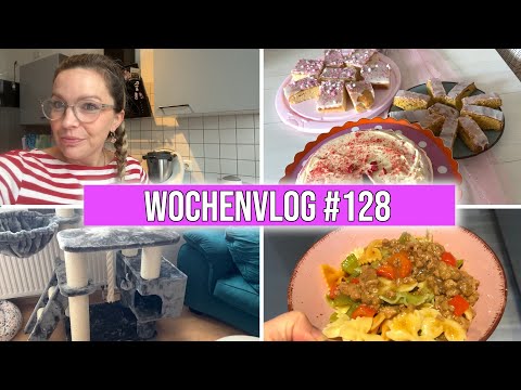 WEEKLY VLOG #128 | Rosalyn's Birthday | New Cat Tree | With Flash to the Vet Clinic 😞 | This is US