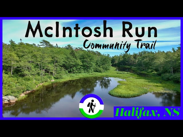 Trail Video Preview