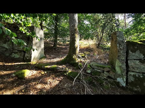 HÄRSTORPS GÅRD - 200916 - Ronneby nära Härstorpsjön - Blekinge (Huawei P30 PRO)