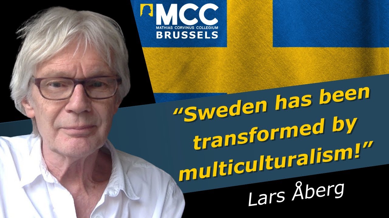 What happened to our country? Sweden has been transformed by multiculturalism - Lars Åberg