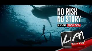 Download lagu Iklan L.A Bold - Live Bold 'Whaleshark' (2026) mp3