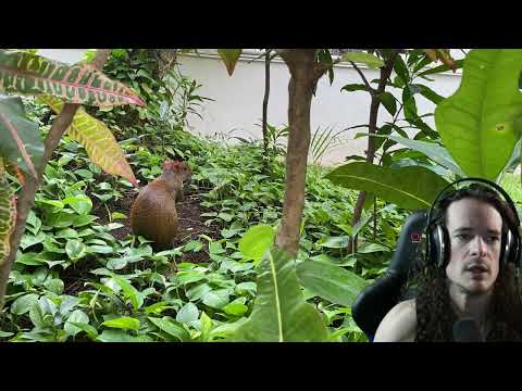 Serral ZvP   Defending 2 base Ground