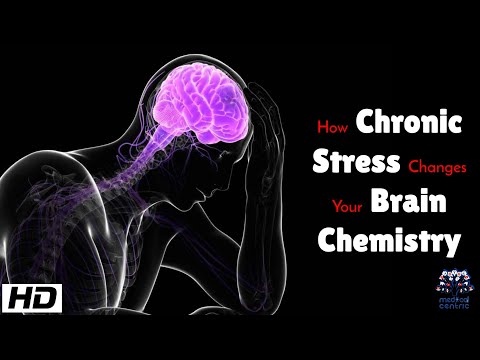 How Chronic Stress Changes Your Brain Chemistry: The Hidden Neurological Impact