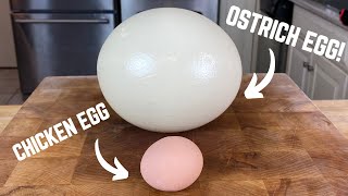 The Ostrich Egg Exploded Before I Could Slice It 🥲 #shorts