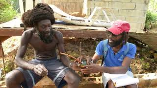 Download lagu The Rastaman mp3