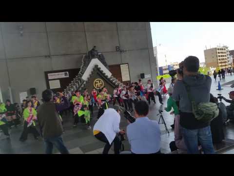 2017.4.30(日)AM 江戸博舞祭プレ 『花は咲く』フラッシュモブ