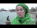 Den Lille Havfrue Er Blevet Irsk