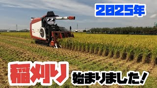【始動！】2025年稲刈り始まりました！【盈科】